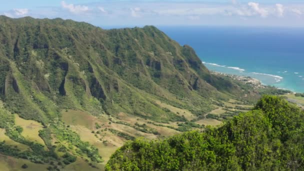 晴れた夏の日のハワイの自然 アウトドアアドベンチャーパノラマエキゾチックな島 アメリカ観光4K 緑のクァロアの牧場のピークの上のエピック空中 オアフ島のランドマークヘリコプターの景色 息をのむような風景 — ストック動画