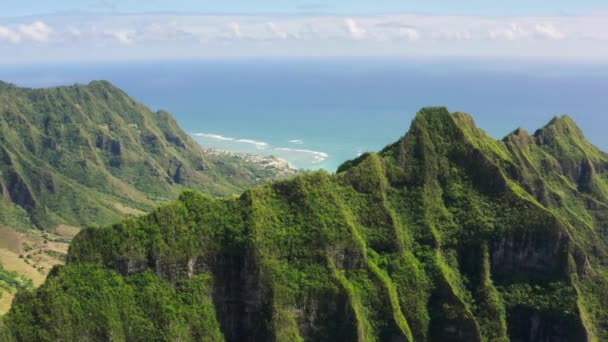 Epic Udara Atas Hijau Kualoa Peternakan Puncak Pulau Oahu Pemandangan — Stok Video