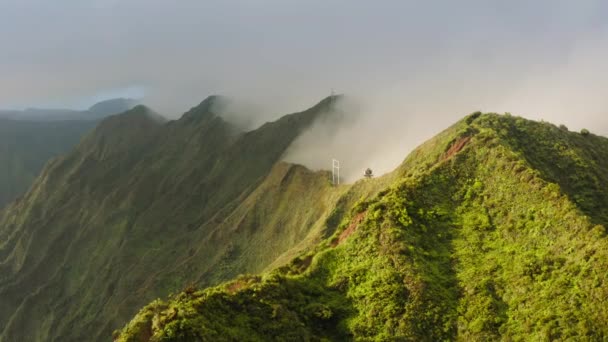 Schodiště Nebe Pohled Vrcholu Schodiště Haiku Turistické Atrakce Ostrově Oahu — Stock video