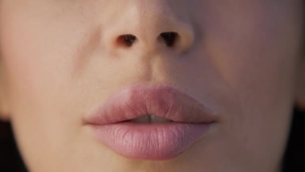 Lábios Beijam Luz Natural Dia Beleza Sexy Modelo Feminino Completo — Vídeo de Stock