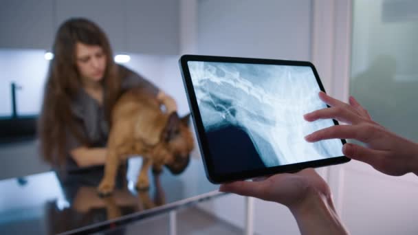 Médico Veterinario Mirando Rayos Perro Tableta Digital Clínica Moderna Asistente — Vídeos de Stock