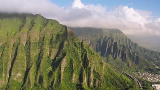 Beautiful Hawaii Nature Aerial View Cars Driving Road Tunnel Steep — Stock Video