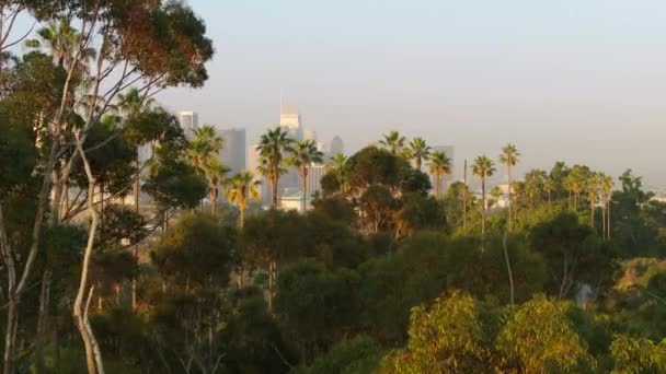 Вид Повітря Зелений Парк Мальовничим Видом Центр Міста Лос Анджелеса — стокове відео