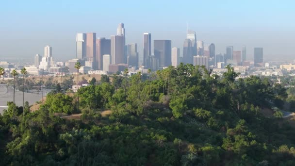Zielony Park Miejski Wysokimi Budynkami Biurowymi Tle Malownicze Los Angeles — Wideo stockowe