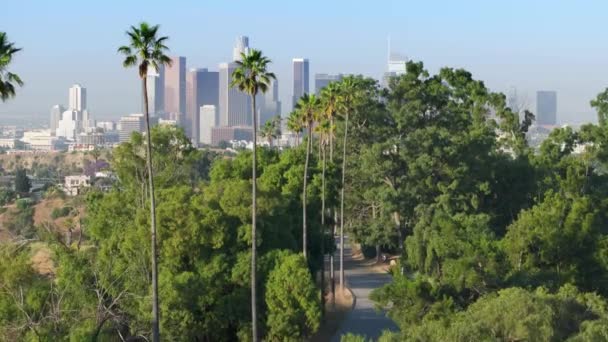 Drón Repül Festői Los Angeles Belvárosa Felé Modern Felhőkarcolókkal Levegő — Stock videók