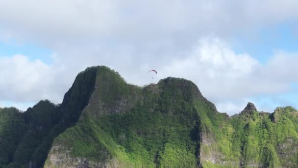 風光明媚な緑のハワイの山の上にパラグライドを飛ぶ極端なスポーツマンのエピック空中 パラダイストロピカルアイランドオアフ島で最高のスポーツ シネマティックな自然景観 人々のライフスタイル フリーダムの概念 — ストック動画