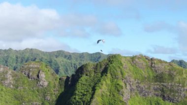 Tropik cennet adası Oahu 'da ekstrem spor. Sinematik doğa manzarası. İnsanların yaşam tarzı. Özgürlük kavramı. Uçan ekstrem sporcuların destansı havası manzaralı yeşil Hawaii dağının üzerinde.