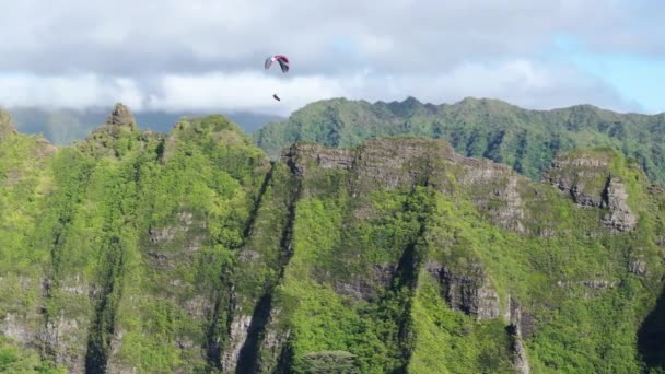 Urheilija Lentää Varjoliito Yläpuolella Luonnonkaunis Vihreä Havaijin Vuori Extreme Urheilu — kuvapankkivideo