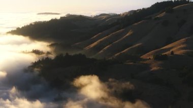 Dağ tepelerinin görüntüsü yoğun sis bulutunun etrafını sardı, San Francisco Körfezi bölgesi, California, batı kıyısı, ABD. Sabah sisi ile kaplı ağaçların havadan görünüşü. Güneş doğarken nefes kesici manzara, 4k görüntü.