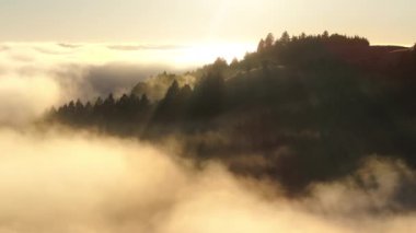 Esrarengiz sabah sisinde resim dağları, San Francisco Körfezi bölgesi, California, batı kıyısı, ABD. Bulutları çevreleyen yeşil tepelerin insansız hava aracı görüntüleri. Güneş ışınları gündoğumunda ağaç tepelerini aydınlatıyor, 4k görüntü