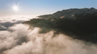Kuş bakışı dağ tepesi manzarası sabah ışığında San Francisco Körfez Bölgesi, Kaliforniya, batı kıyısı, ABD 'de bulutları çevreledi. Güneşin doğuşunda sisli orman manzarası. Sis üzerinde ağaçların tepeleri, 4K görüntüler.