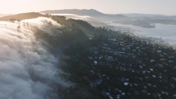 美国加利福尼亚州 西海岸 晨雾中的萨维里托山丘和旧金山郊区的无人机拍摄 日出时分 三藩湾海滨房屋在雾气中的风景画 4K段 — 图库视频影像