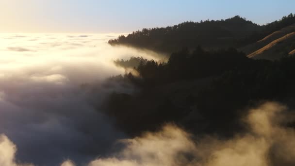 美国加利福尼亚旧金山湾地区 西海岸 空中拍摄的群山覆盖了日出时分巨大的云雾形成 晨灯在雾中洒落在树梢上 复制空间 4K镜头 — 图库视频影像