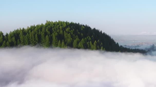 Paisagem Montanhosa Pitoresca Com Árvores Cobertas Nuvens Área Baía São — Vídeo de Stock