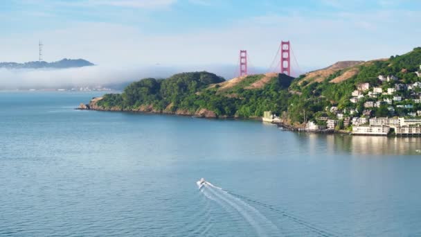 Flygfoto Över Motorbåt Flyter San Francisco Bay Sausalito Stad Kalifornien — Stockvideo