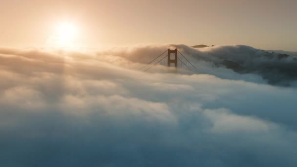 飞机在晨雾中飞越金门大桥 美国加州旧金山 阳光在雾气中闪耀 日出时分 芦苇桥在浓雾中眺望的场景 4K镜头 — 图库视频影像