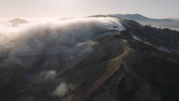 从空中俯瞰着飘落在美国加州圣佛朗哥郊区 西海岸萨维里托山岗上的云雾 晨雾覆盖的高山和圣佛朗哥湾郊区的俯瞰 — 图库视频影像