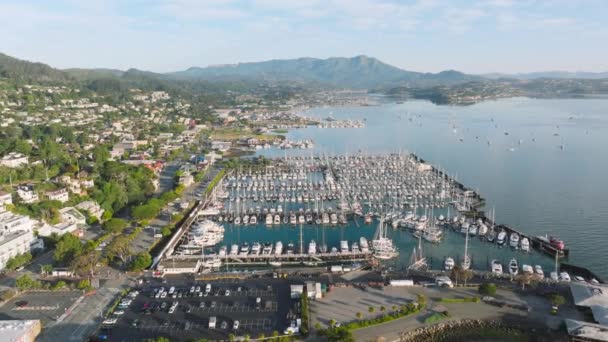 Aerial View Small Port Yachts Sausalito Town San Francisco Suburban — Stock Video