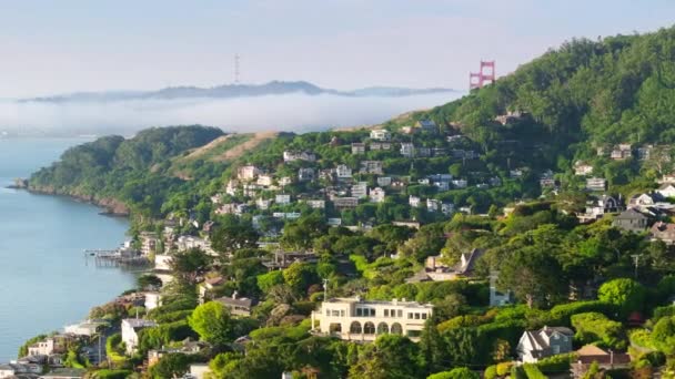 Вид Воздуха Ландшафт Саусалито Красивыми Домами Тихом Океане Сан Франциско — стоковое видео