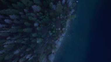 Gece Tahoe Dağı gölü suyu. Çam ağacı ormanıyla kaplı dağ gölünün temiz turkuaz suyu. Mavi göl ve yeşil orman manzarası 4K. Geceleri ladin ormanlarıyla kaplı göl kıyısında.