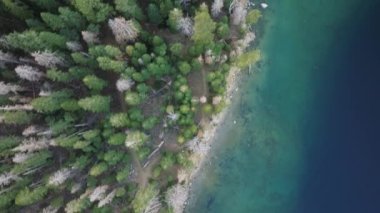 Mavi göl ve yeşil orman manzarası. Lahana ormanlarıyla kaplı göl kıyısında. Kristal berrak dağ gölü üzerinde tatlı su. Çam ağacı ormanıyla kaplı dağ gölünün havadan aşağıya temiz turkuaz suyu.