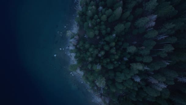 头顶湖岸 夜晚点缀着云杉林 塔霍山湖淡水 空中俯瞰着青翠清澈的高山湖水和松树林 蓝湖与绿林景观4K — 图库视频影像