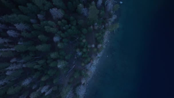 Тахо Горное Озеро Воды Ночью Воздушный Верх Вниз Чистой Бирюзовой — стоковое видео