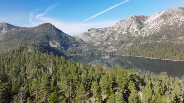 Drone Piękny Las Jezioro Widok Lotu Ptaka Kalifornia Jezioro Górskie — Wideo stockowe