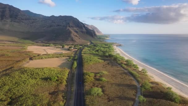 Elokuvamainen Lennokki Lensi Valtatien Yli Luonnonkauniilla Havaijilla Ilmakuva Sähköinen Avoauto — kuvapankkivideo