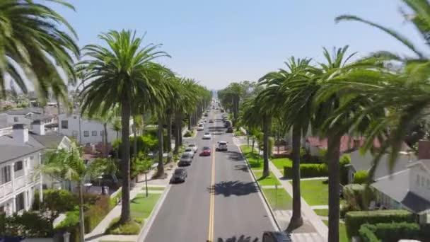 트래픽 코로나 캘리포니아 웨스트 코스트 도로를 주택과 야자수와 라구나 비치로 — 비디오