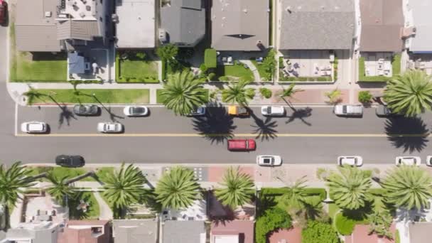 Nad Hlavou Záběr Newport Beach Avenue Letním Provozem Corona Del — Stock video