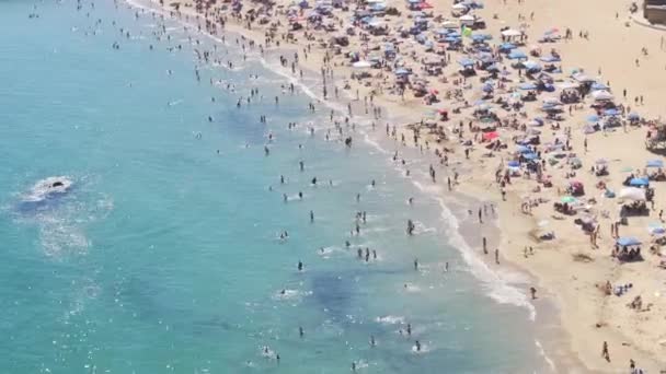 Kumlu Sahil Corona Del Mar Newport Sahili Kaliforniya Batı Sahili — Stok video