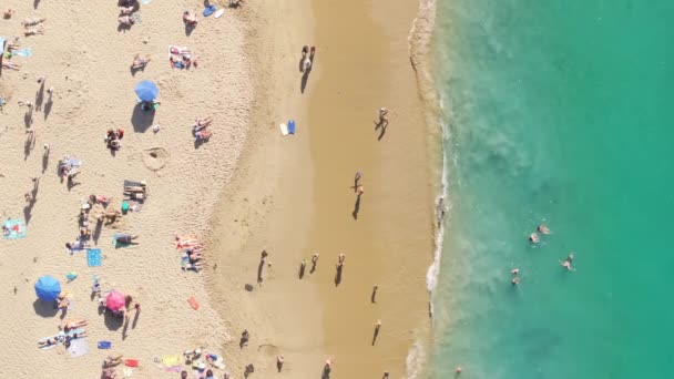 在美国加利福尼亚州奥兰治县拉古纳海滩 太平洋沙滩上游泳的人的头像 游客们在夏天尽情享受假期的镜头 海洋的水晶绿水 4K镜头 — 图库视频影像