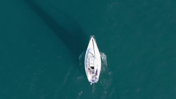Toppskudd Seilbåt Stillehavet Santa Barbara California Usa Fugleperspektiv Yachter Som – stockvideo