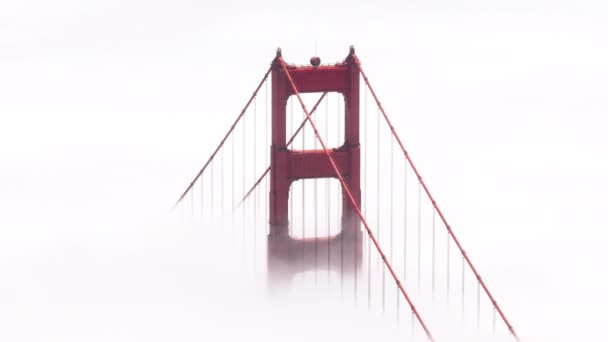 배경을위한 시네마틱 빨간색과 샌프란시스코 다운타운의 움직임 배경으로 빽빽한 두꺼운 안개로 — 비디오