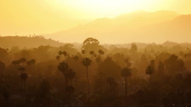 Gün batımının kuşların bakış açısı ağaçların tepelerine ve dağlara düşüyor, Santa Barbara, California, ABD. Turuncu gökyüzüyle şehrin gökyüzü görünüyor. Güneşin doğuşundaki nefes kesici manzara, 4k görüntü. 