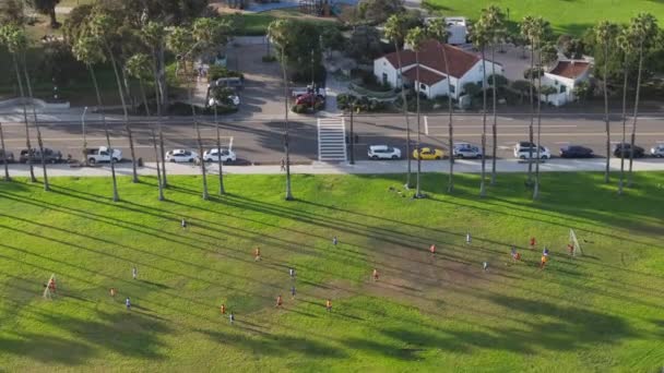 Drone Laukaus Miesten Pelaa Jalkapalloa Vihreällä Alueella Palmuja Santa Barbara — kuvapankkivideo