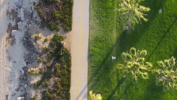 Toppskudd Mann Som Løper Byparken Santa Barbara California Usa Droneutsikt – stockvideo