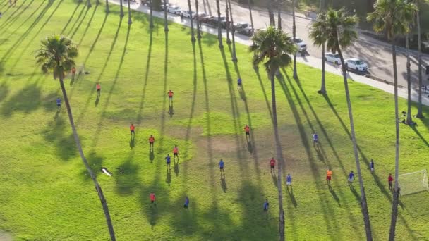 Luftaufnahme Männlicher Athleten Beim Fußballspielen Auf Dem Grünen Feld Von — Stockvideo