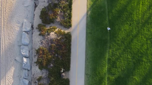 Fugleperspektiv Idrettsutøvere Som Løper Veien Parken Santa Barbara California Usa – stockvideo