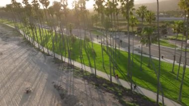 Santa Barbara, California, ABD 'deki şehir parkında bisiklet sürmekten keyif alan bir adamın yukarıdan çekilmiş fotoğrafı. Bisiklete binen birinin en iyi fotoğrafı. Şehir simgesi, yüksek palmiye ağaçları. Yaşam tarzı konsepti, 4k görüntü 