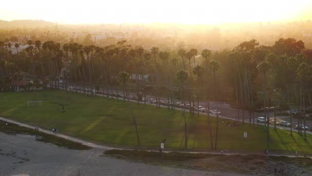 Drone Lyhyt Pitkä Palmuja Kasvaa Pitkin Tietä Rantaa Santa Barbara — kuvapankkivideo
