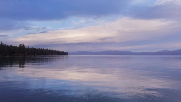 Vakkert Landskap Innsjøen Kvelden Pin Tre Skog Beliggende Elvebredden Fjell – stockvideo