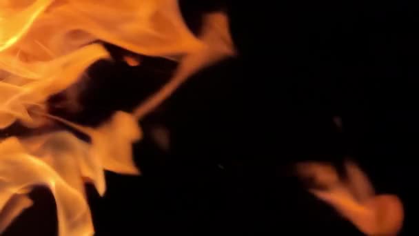 Tulipalot Syttyvät Mustalla Pohjalla Kipinät Lentävät Ilmassa Pystysuora Laukauksen Kokko — kuvapankkivideo