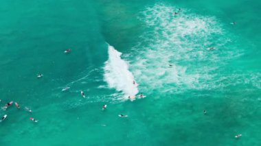 Yeşil dalgaları yakalamaya çalışan sörfçüler. Waikiki sahilindeki şeffaf suların sinematik görüntüleri. Oahu, Hawaii 4K 'da sörf tahtalarına binen sporcu antenleri.