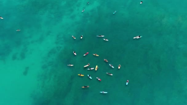 ワイキキビーチの透明な水のティール波のシネマティックショット ハワイ4Kのオアフ島のサーフィンボードでアスレチックな人々のグループの風景 緑の波をキャッチしようとするサーファーのトップダウンビュー — ストック動画