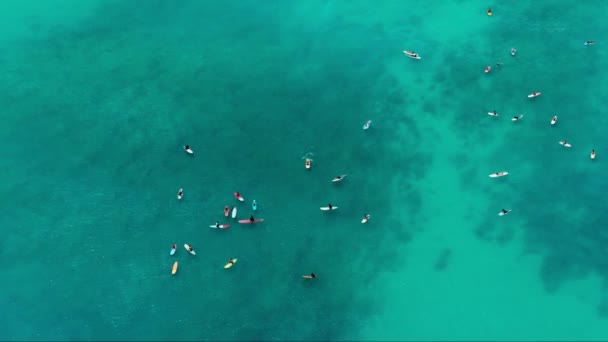 Grupo Aéreo Pessoas Penduradas Pranchas Surf Oahu Havaí Vista Cima — Vídeo de Stock