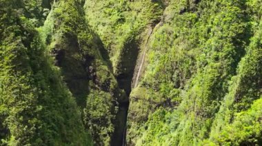 Sinema yeşili Sacred Falls Vadisi manzarasını çekiyoruz. Oahu 'daki Kutsal Şelale Parkı' na daha yakından bak. Havacılık macerası Hawaii adaları turizmi.
