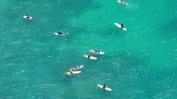 俯瞰冲浪者在夏威夷岛Wakiki海岸美丽的淡蓝色水面上的电影场景 在瓦胡岛4K的冲浪板上游泳的空中人员 等待海浪冲浪的冲浪者骑4K — 图库视频影像