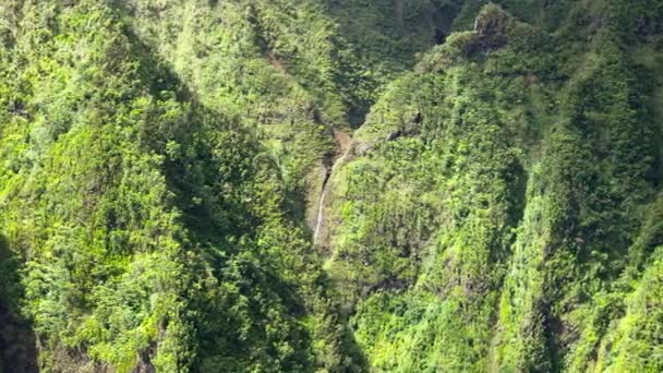 ハワイ島の空中アウトドアアドベンチャー シネマティックグリーンサクラフォールズ渓谷の風景観光Bロールバック オアフ島のオハウラにある隠された聖フォールズ州立公園を詳しく見てみましょう ハウラ フォレスト リザーブ — ストック動画